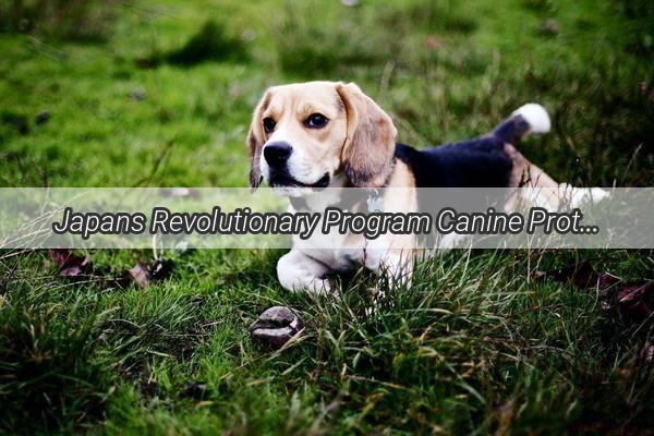 Japans Revolutionary Program Canine Protectors Saving the Youngest Lives